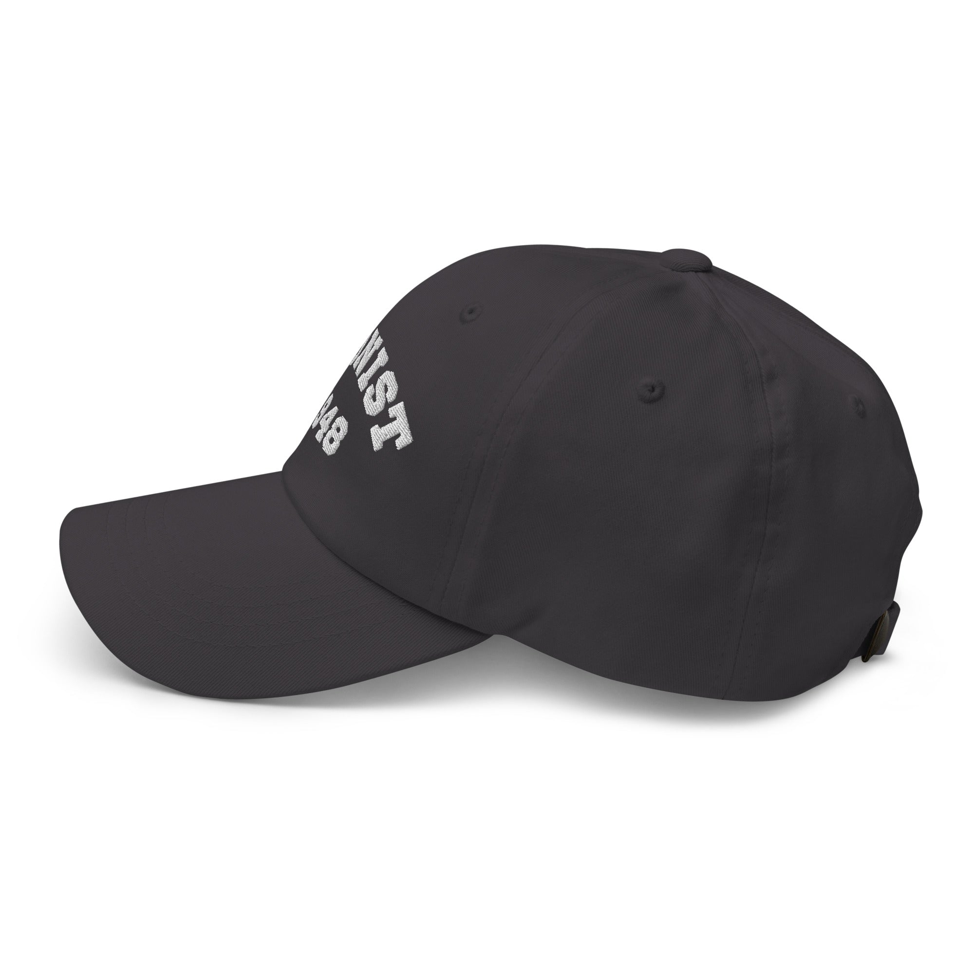 Zionist Dad Hat – Jewish Pride Cap, Israel Support Hat, Embroidered Judaica Accessory