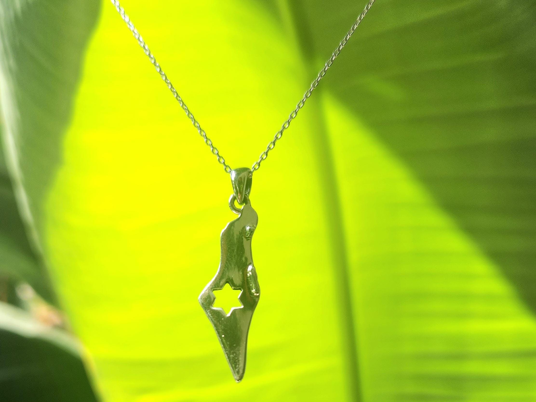 Israel Map Necklace Jewish Star Magen David
