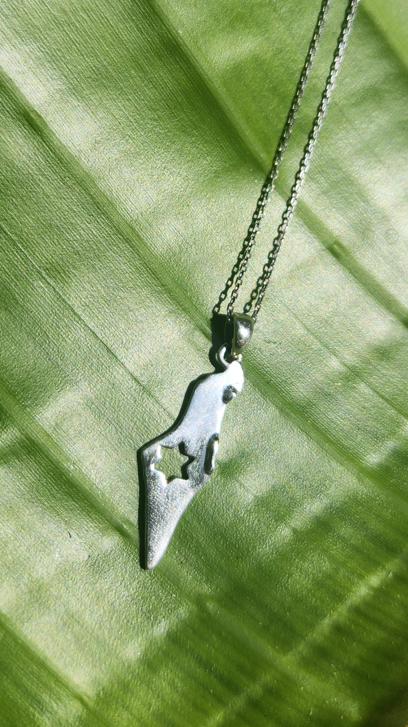 Israel Map Necklace Jewish Star Magen David